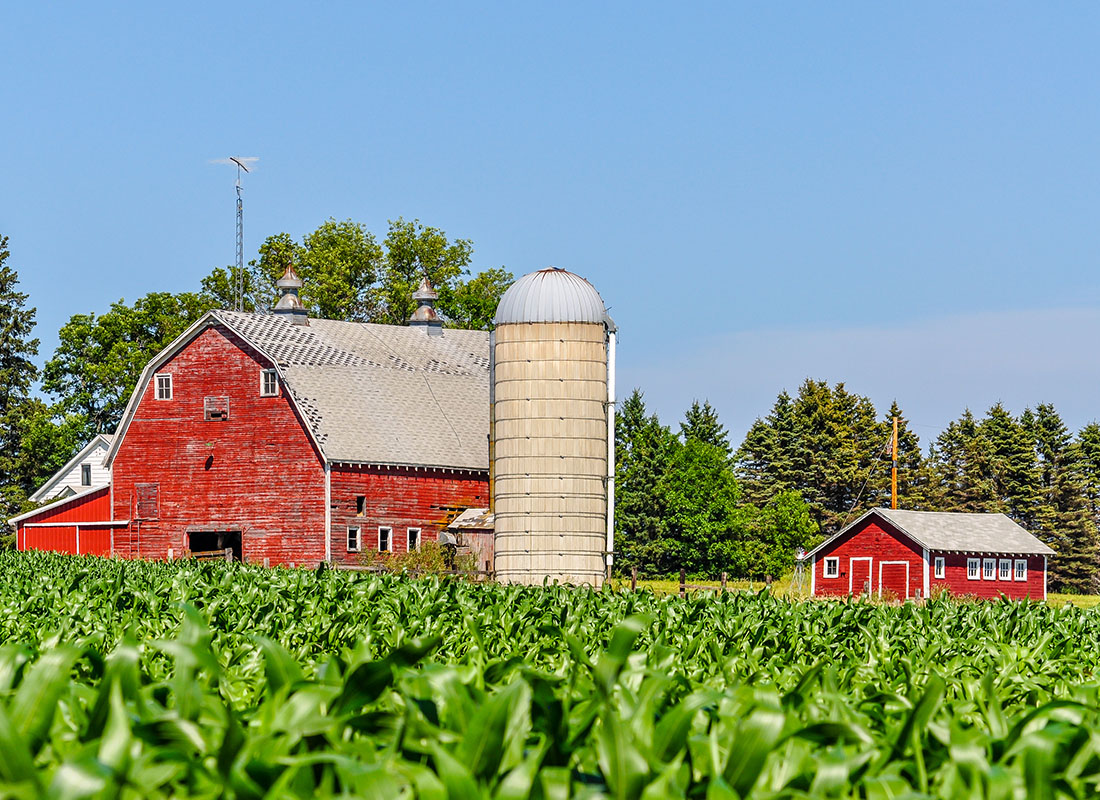 Insurance by Industry - A Minnesota Farm From a Corn Field on a Sunny Day